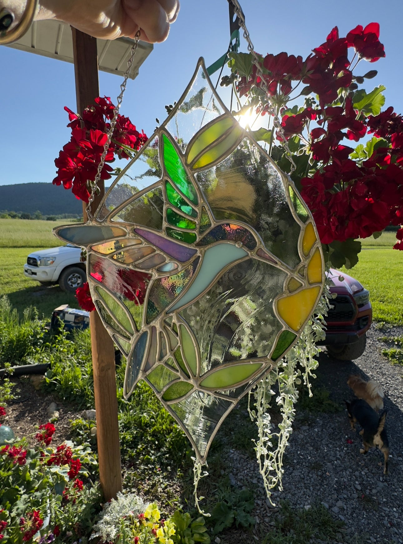 “Hummingbird in Motion” Suncatcher